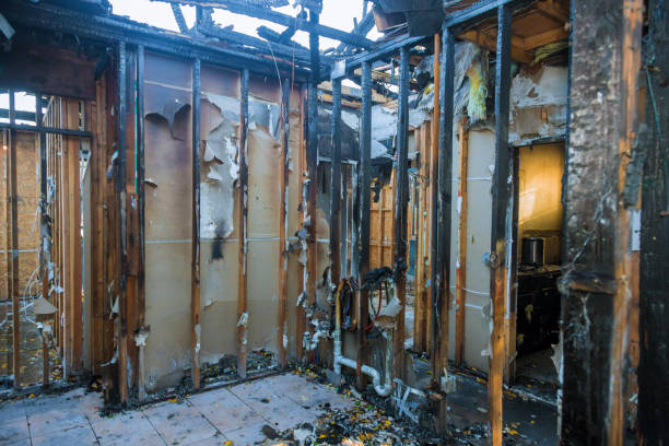 Professional Soot Cleanup technician working in Ferndale, MD